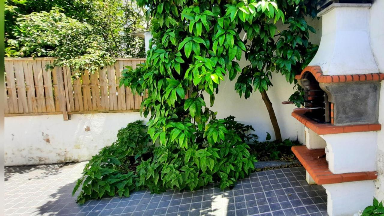 Casa Do Compadre - Casas De Taipa Βίλα São Pedro do Corval Εξωτερικό φωτογραφία